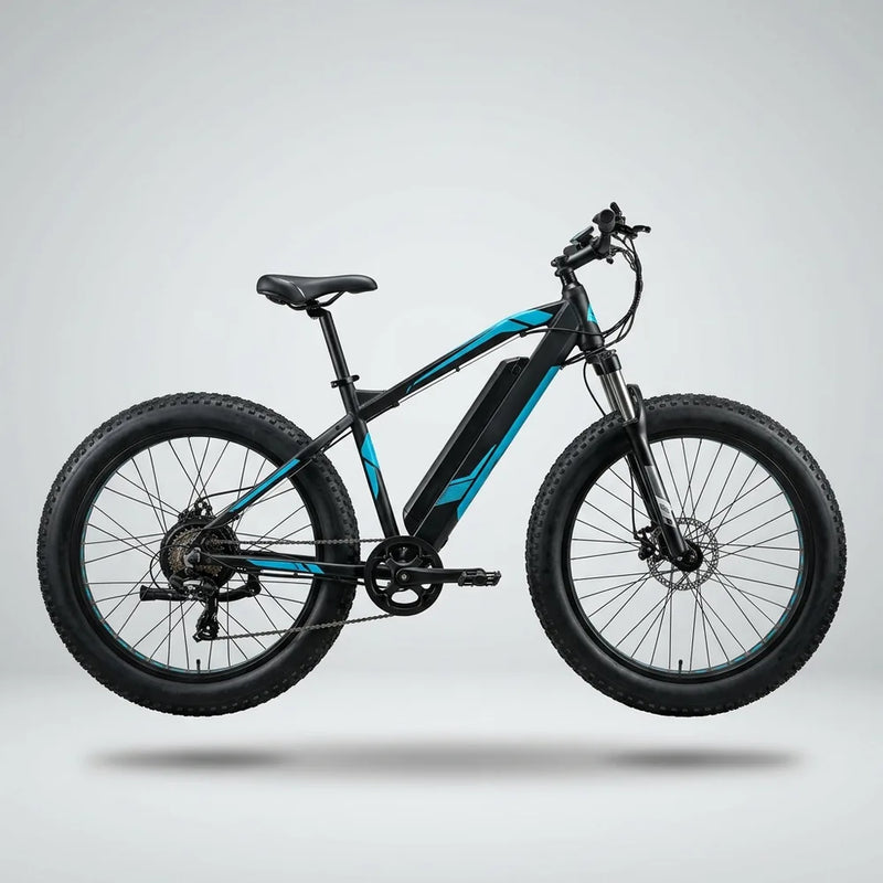 Electric Bicycles (E-Bikes)