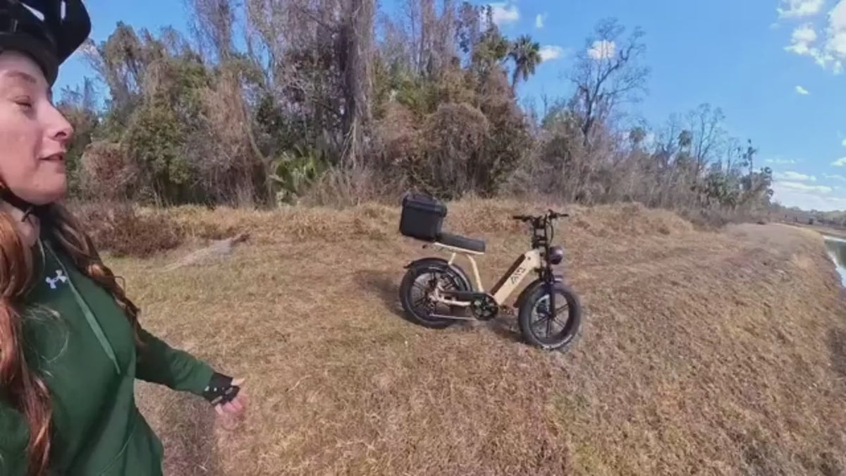 Adult Electric Bike, 749W Peak Motor Ebike with 48V 15Ah Built-In Battery, 60 Miles Range 27.9 MPH Electric Bike, 20" Fat Tire E Bike with 7 Speed